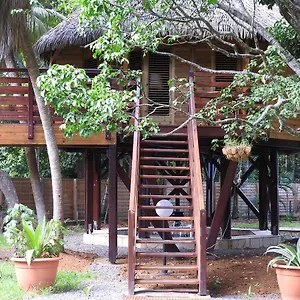 insolite-ara-wakan-47-ma-cabane.comcaribbean.com/